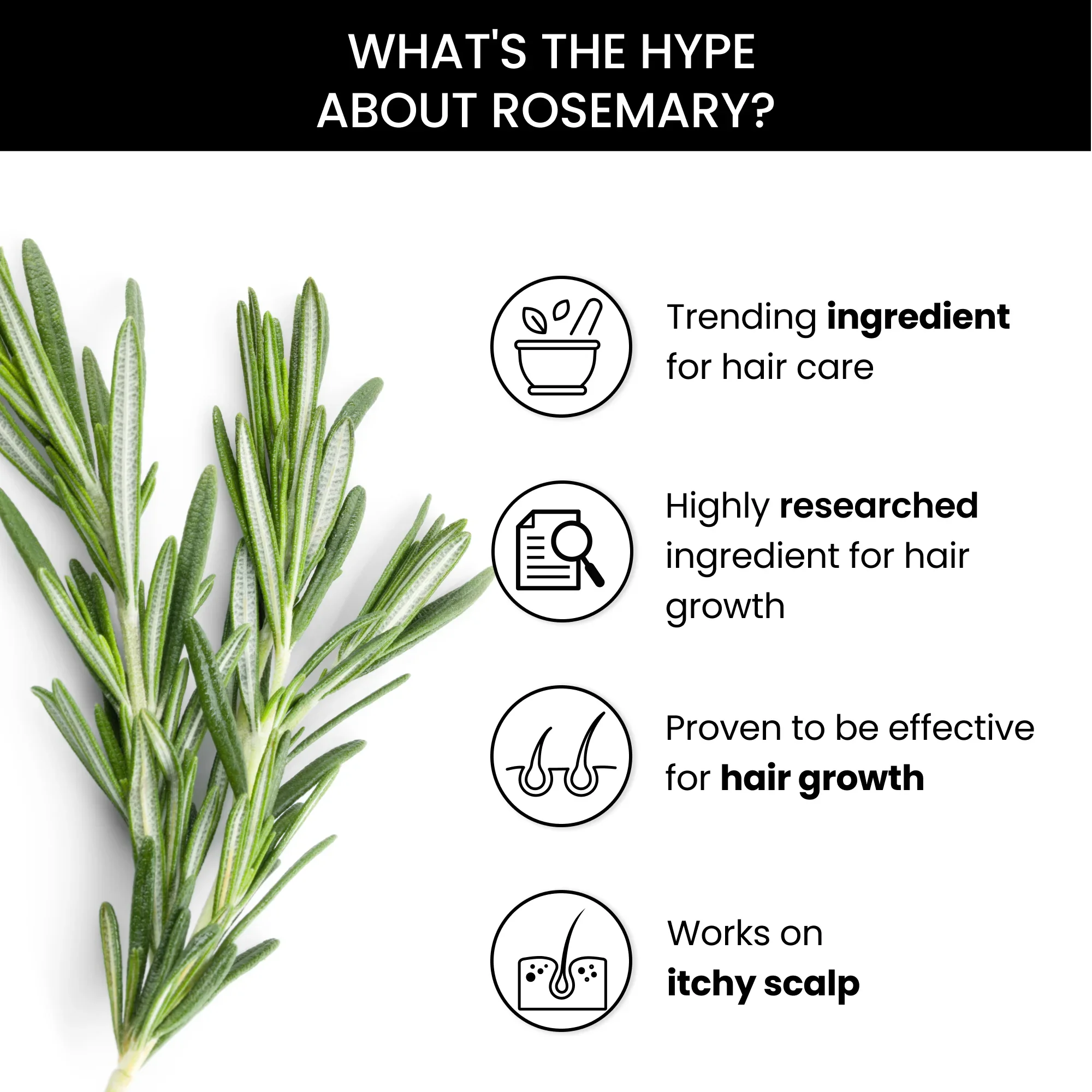 Hair Vitalizing Rosemary Shampoo (250ml) + ThriveCo Hair Prime Serum (50ml) - Image 3